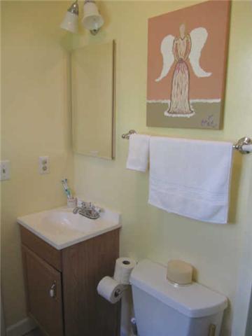 2050 Vales Mill Road Pulaski, TN 38478 - Photo 9 of 20 Master Bath has Everything you need . . . & a 4' Shower too . . .