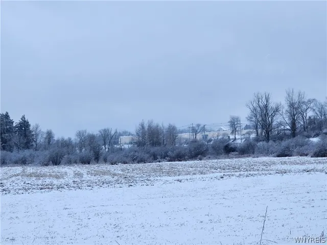 $480,000 | 0 Waverly Street, Springville, NY 14141