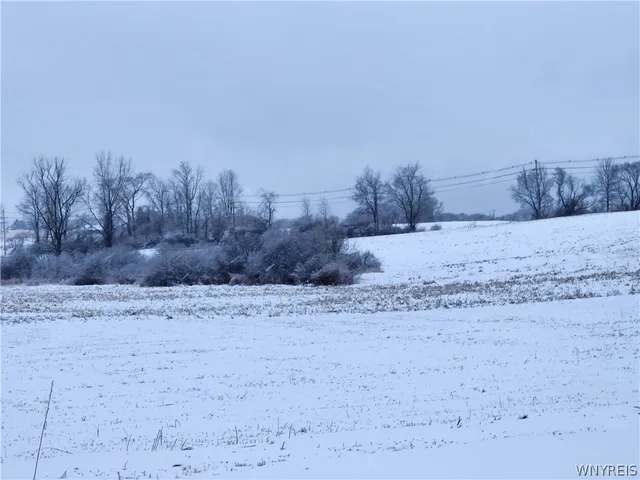 $480,000 | 0 Waverly Street, Springville, NY 14141