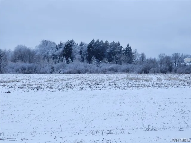 $480,000 | 0 Waverly Street, Springville, NY 14141