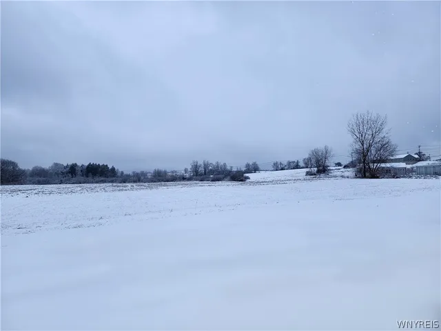 $480,000 | 0 Waverly Street, Springville, NY 14141