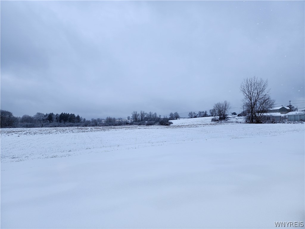 0 Waverly Street Springville, NY 14141 - Photo 4 of 6