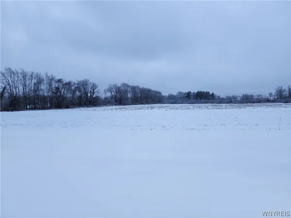 $480,000 | 0 Waverly Street, Springville, NY 14141