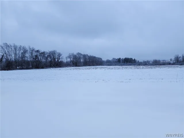 $480,000 | 0 Waverly Street, Springville, NY 14141