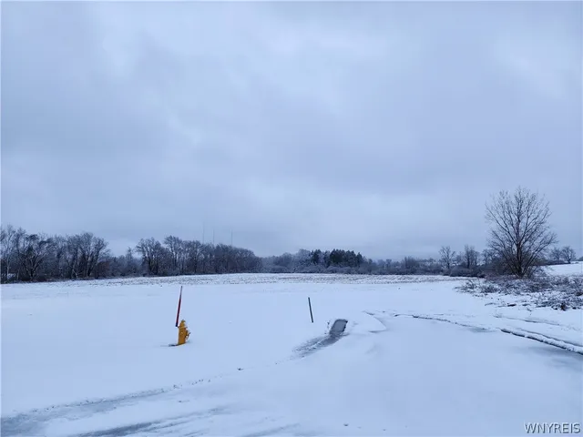 $480,000 | 0 Waverly Street, Springville, NY 14141