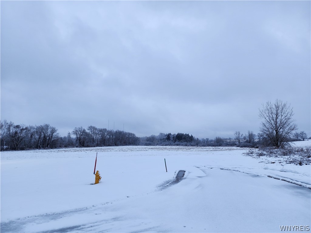 0 Waverly Street Springville, NY 14141 - Photo 6 of 6