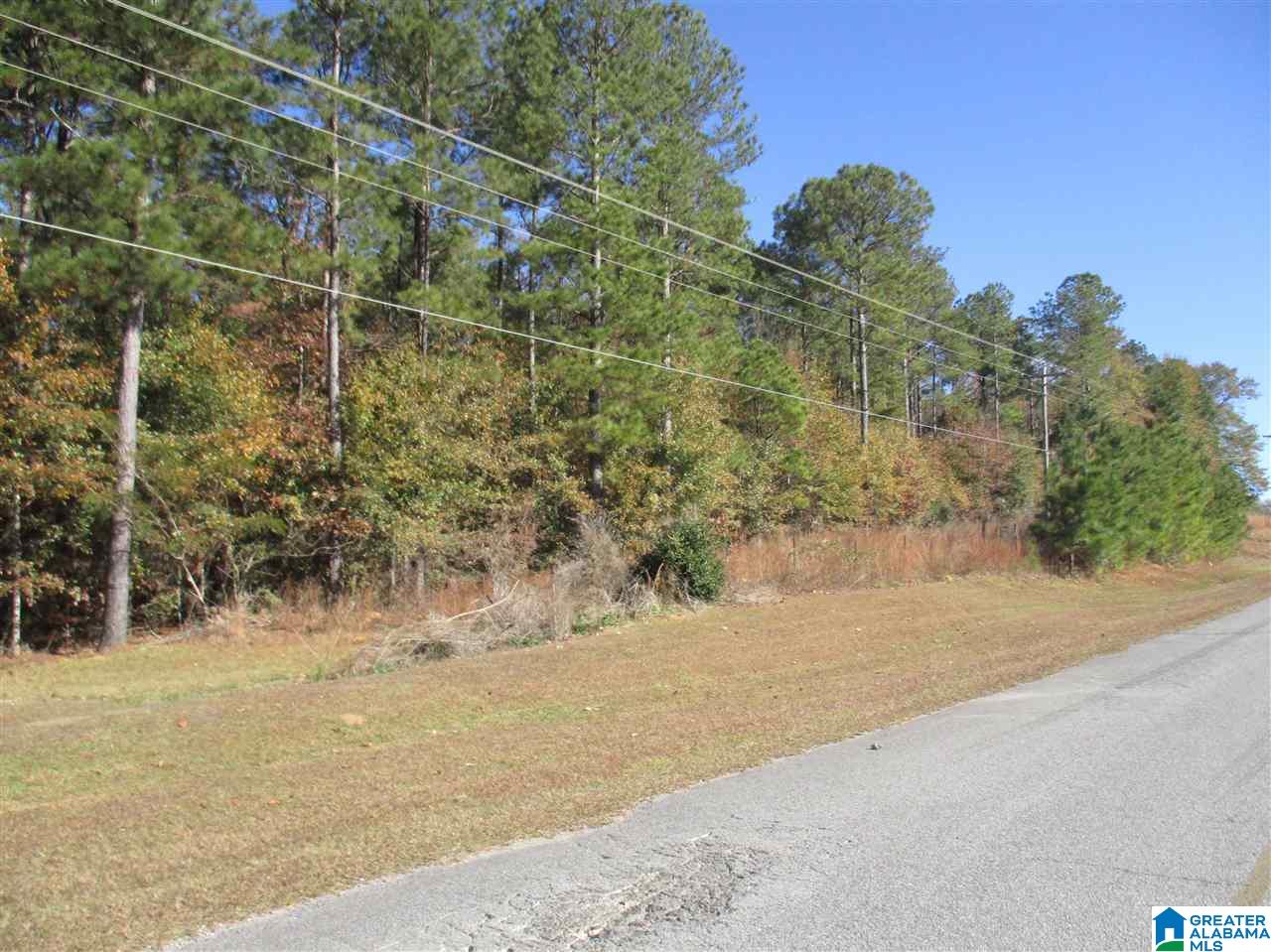 0 Poplar Springs Road, Unit 1 Clanton, AL 35045 - Photo 2 of 4