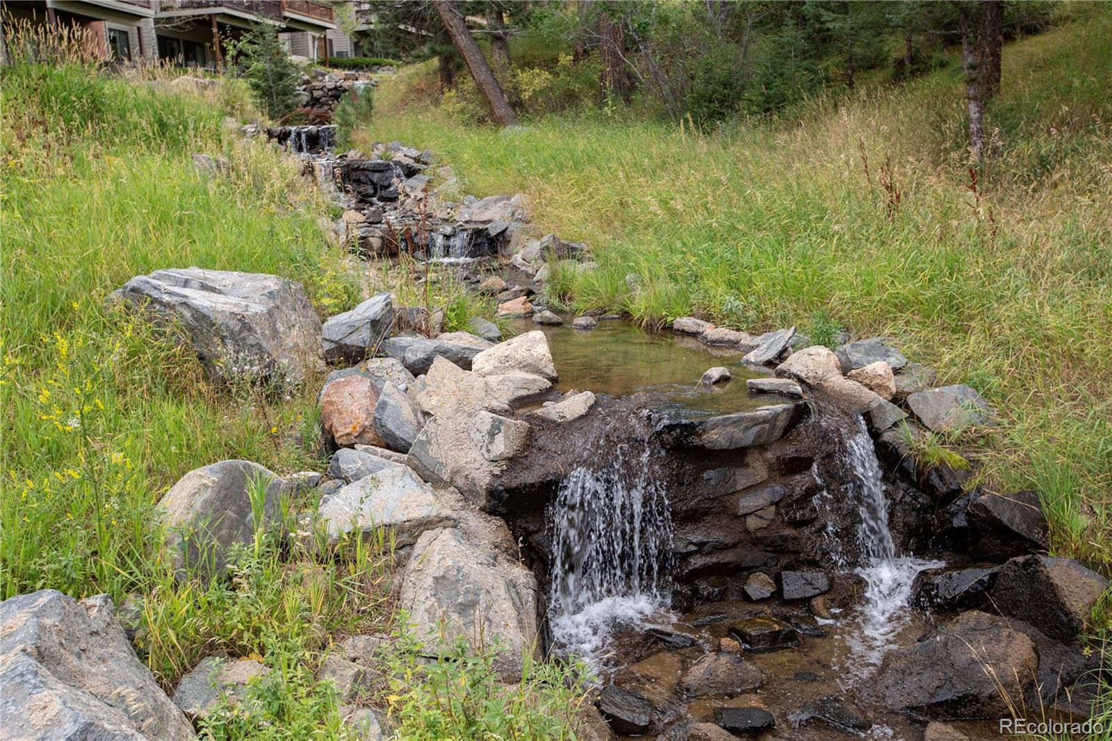 665 Trailside Drive Golden, CO 80401 - Photo 36 of 40 a view of a garden with plants