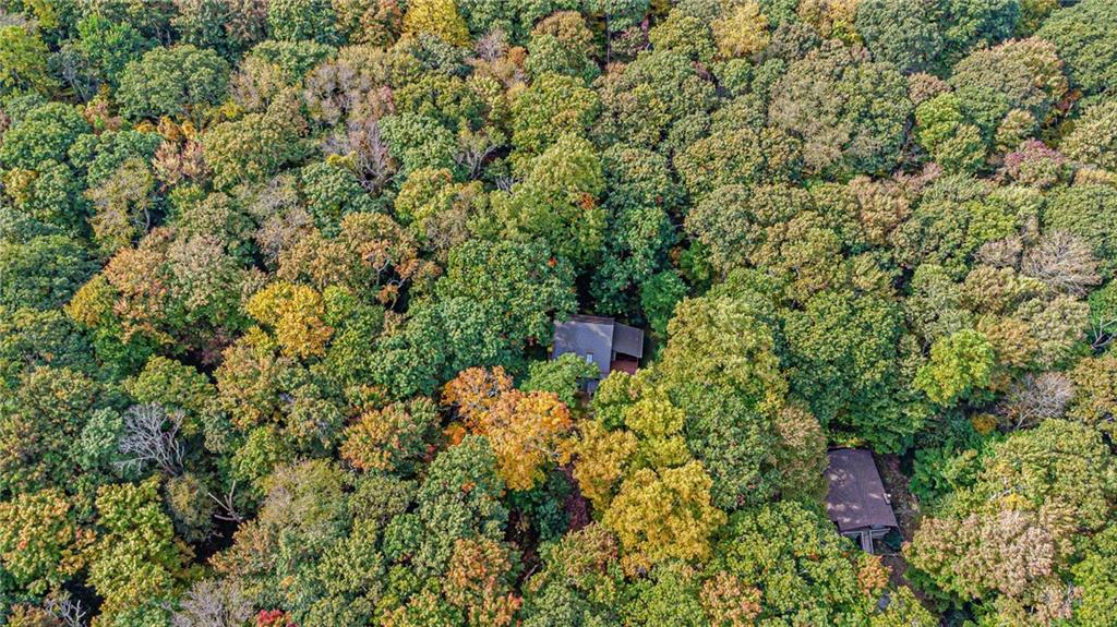 508 Forest Road Acme, PA 15610 - Photo 28 of 29 a view of a house with a tree