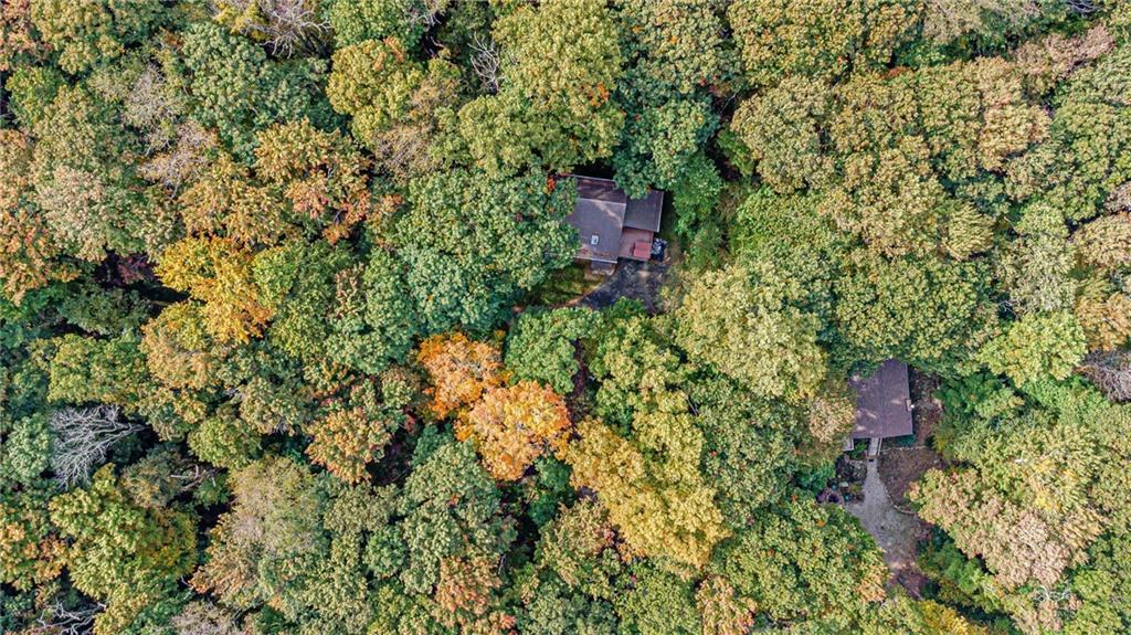 508 Forest Road Acme, PA 15610 - Photo 29 of 29 a view of a house with a yard