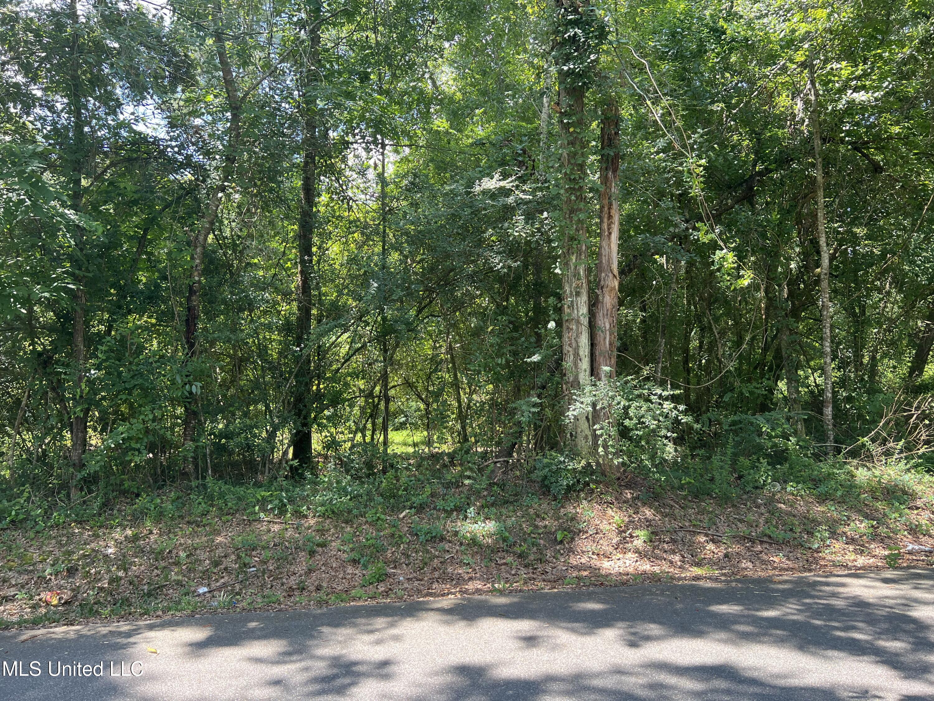 Ridgeway Road Gulfport, MS 39503 - Photo 1 of 2 Ridgeway 1