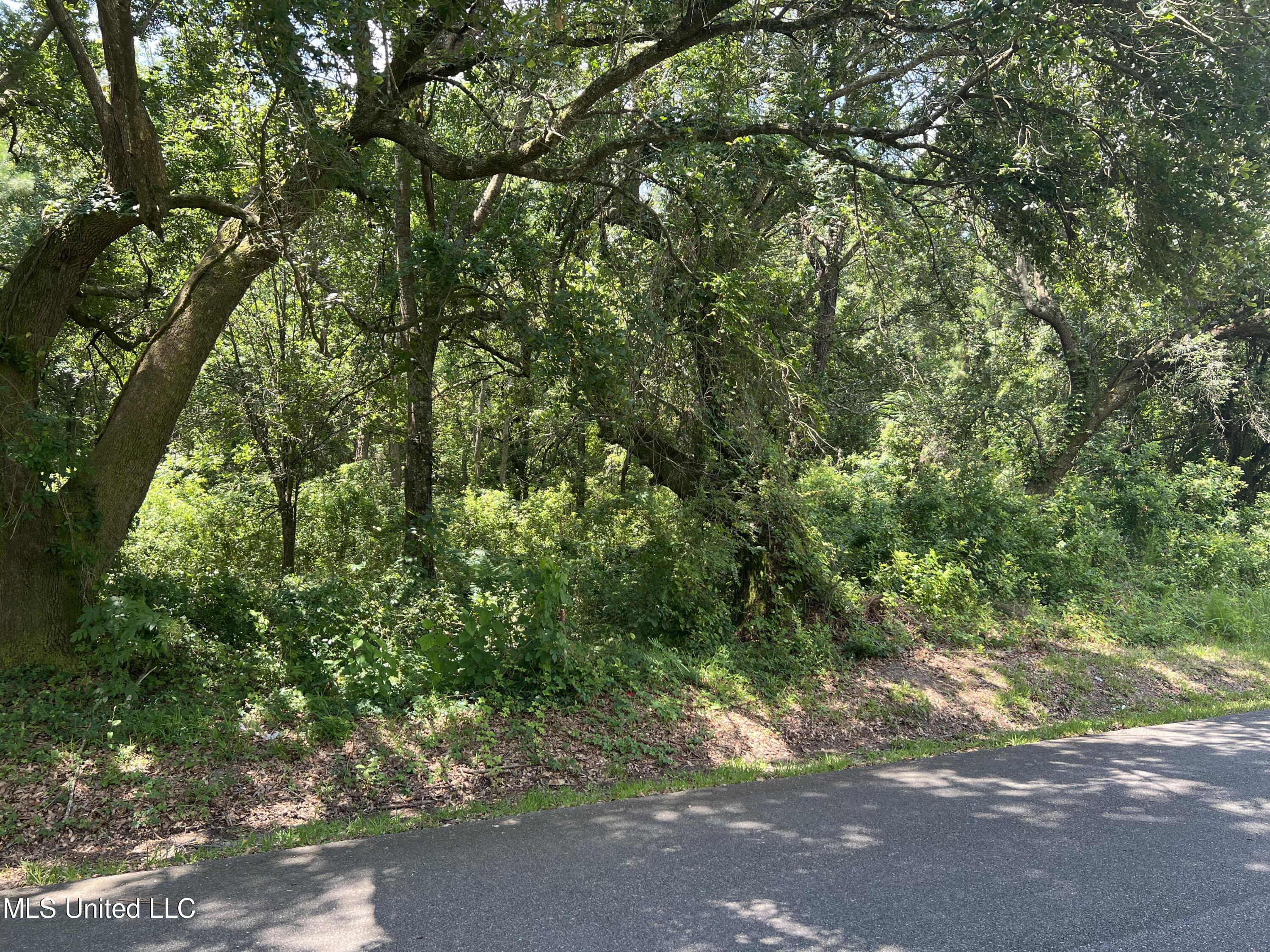 Ridgeway Road Gulfport, MS 39503 - Photo 2 of 2 Ridgeway 1a
