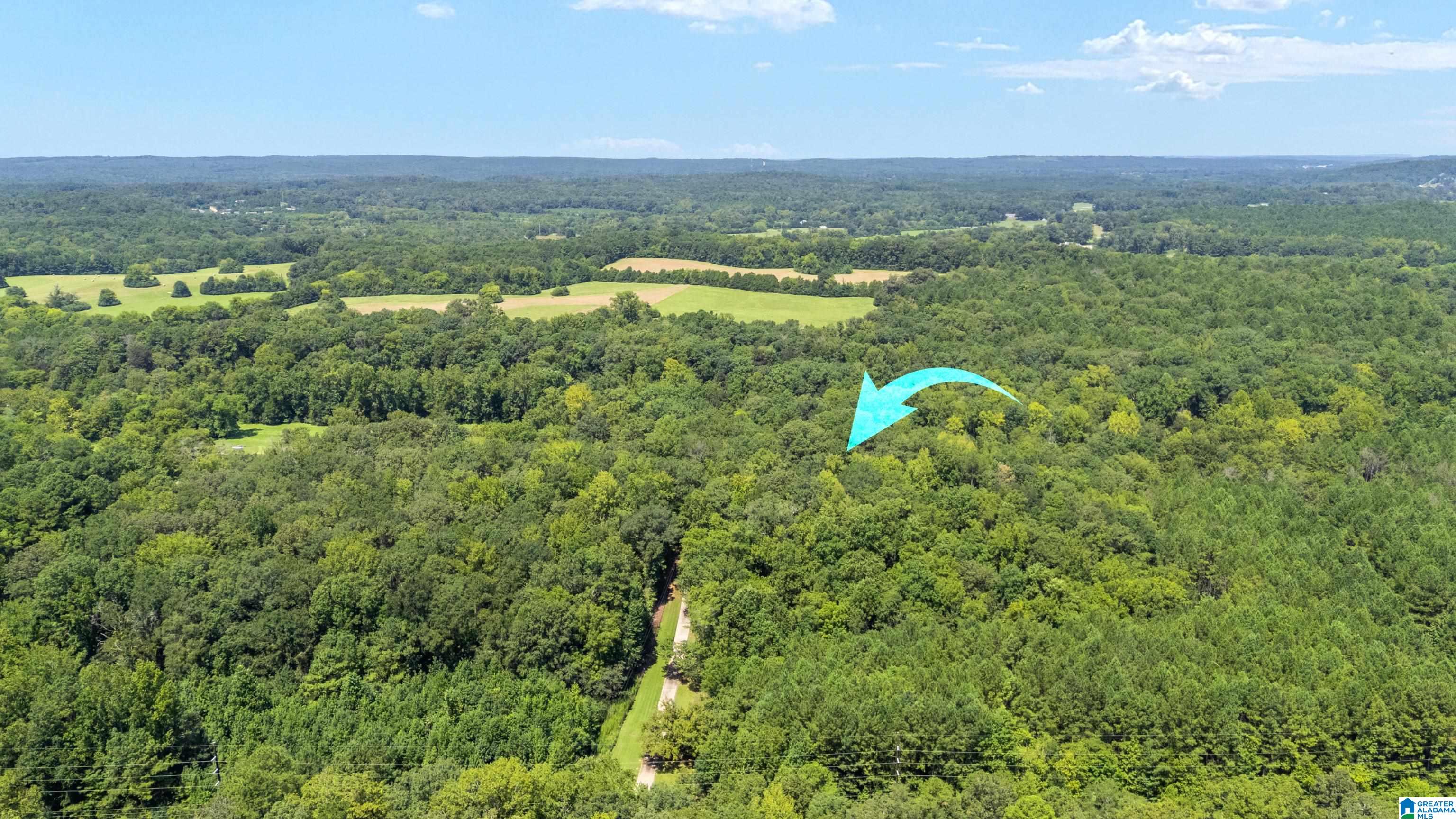 2339 Spring Creek Road Montevallo, AL 35115 - Photo 76 of 79 Gallery Image 76