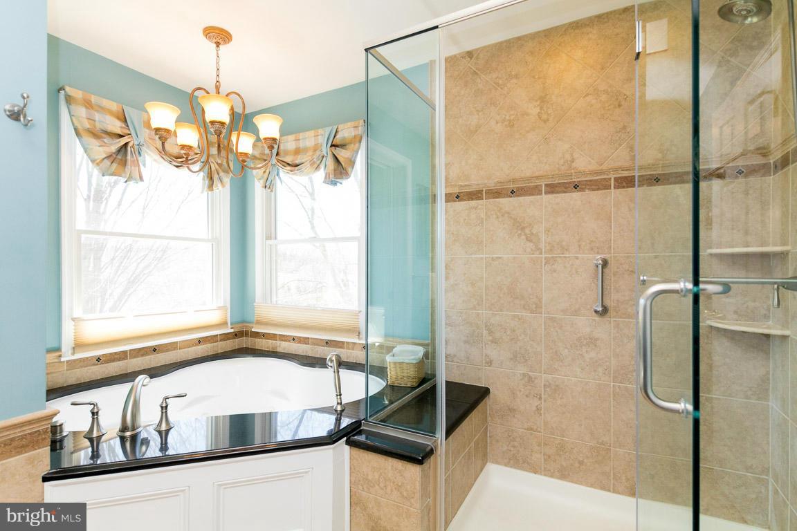 14119 Blenheim Road North Phoenix, MD 21131 - Photo 15 of 30 Bath (Master)