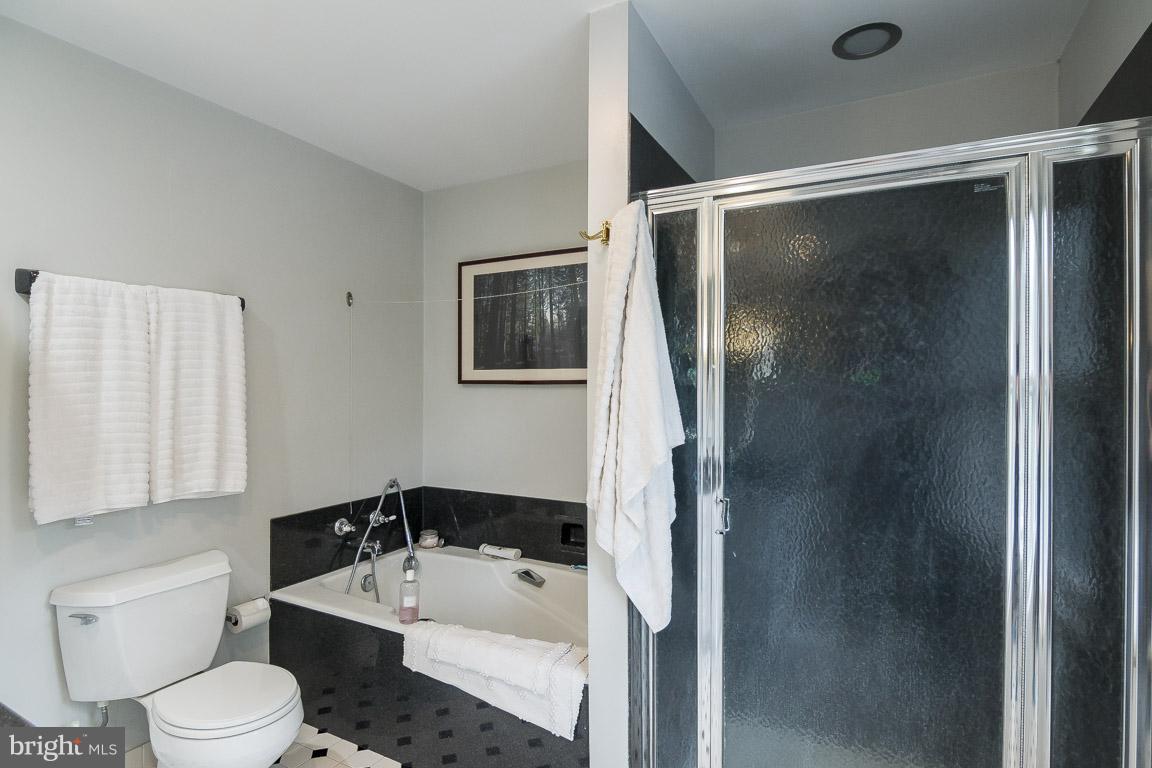 36929 Gaver Mill Road Purcellville, VA 20132 - Photo 17 of 30 Bath (Master)