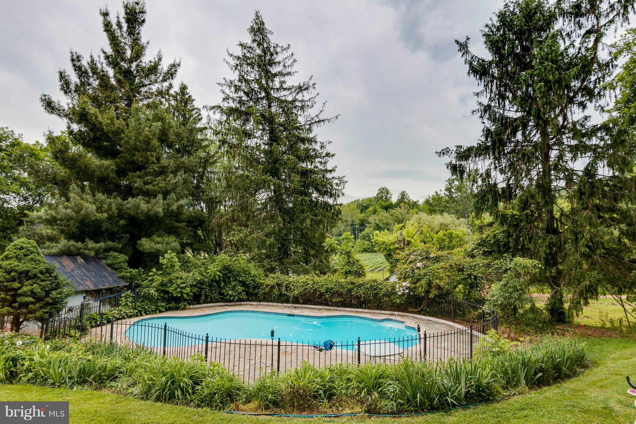 36929 Gaver Mill Road Purcellville, VA 20132 - Photo 26 of 30 Deep In-Ground Pool