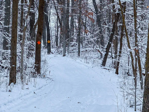 $715,000 | Tbd Reck Lane, Whitehall, WI 54773