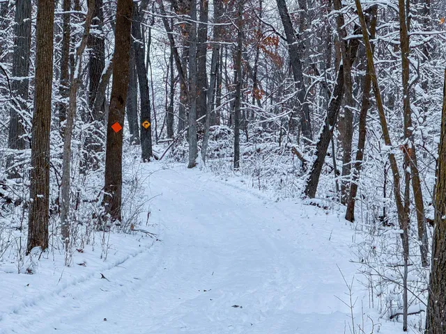 $715,000 | Tbd Reck Lane, Whitehall, WI 54773