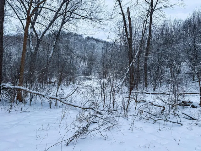 $715,000 | Tbd Reck Lane, Whitehall, WI 54773