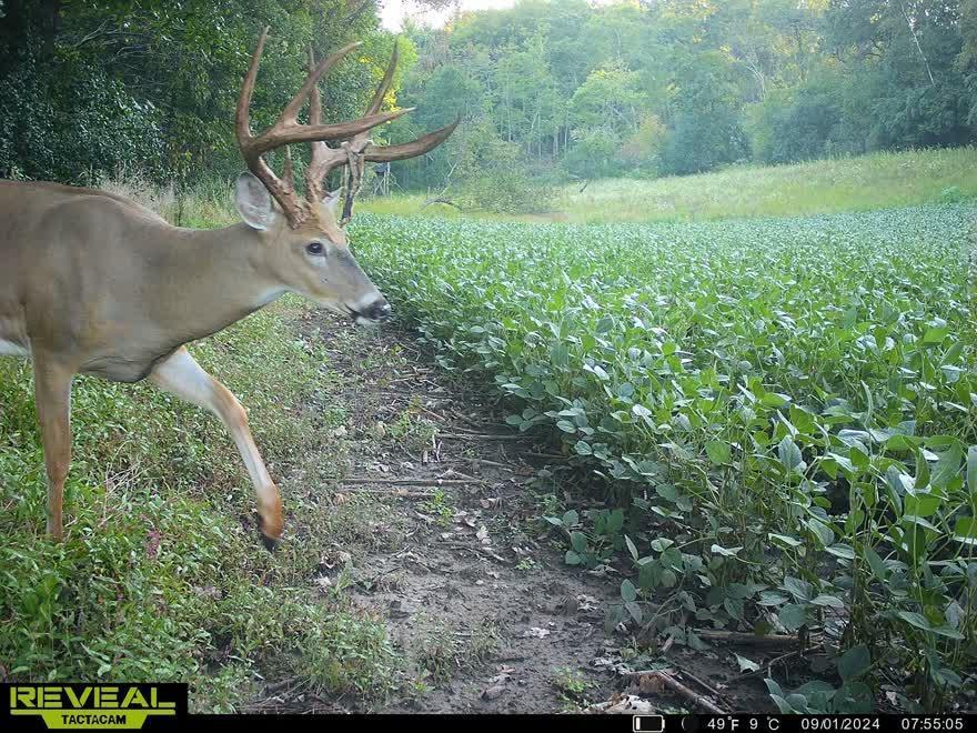 Tbd Reck Lane Whitehall, WI 54773 - Photo 12 of 77