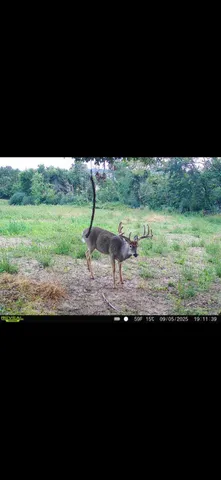 $715,000 | Tbd Reck Lane, Whitehall, WI 54773