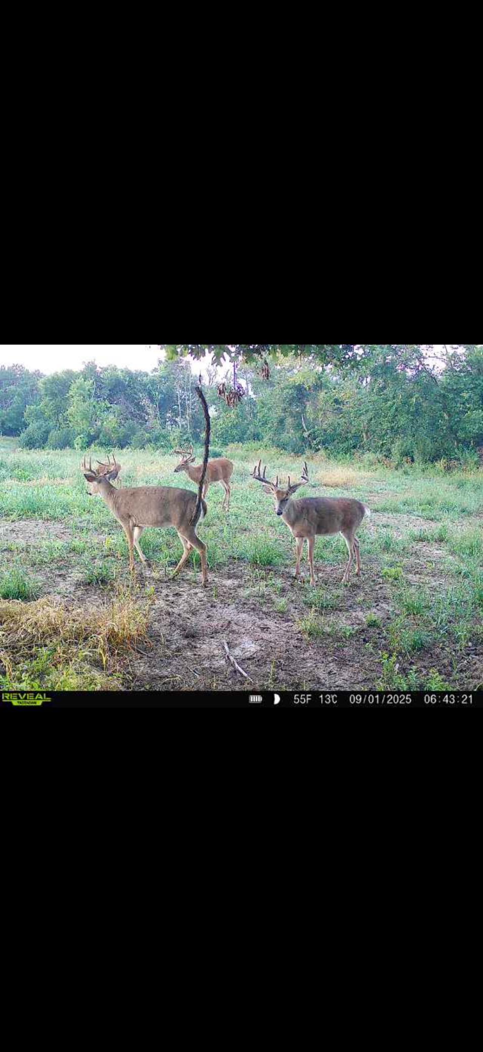 Tbd Reck Lane Whitehall, WI 54773 - Photo 14 of 77