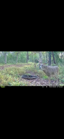 $715,000 | Tbd Reck Lane, Whitehall, WI 54773