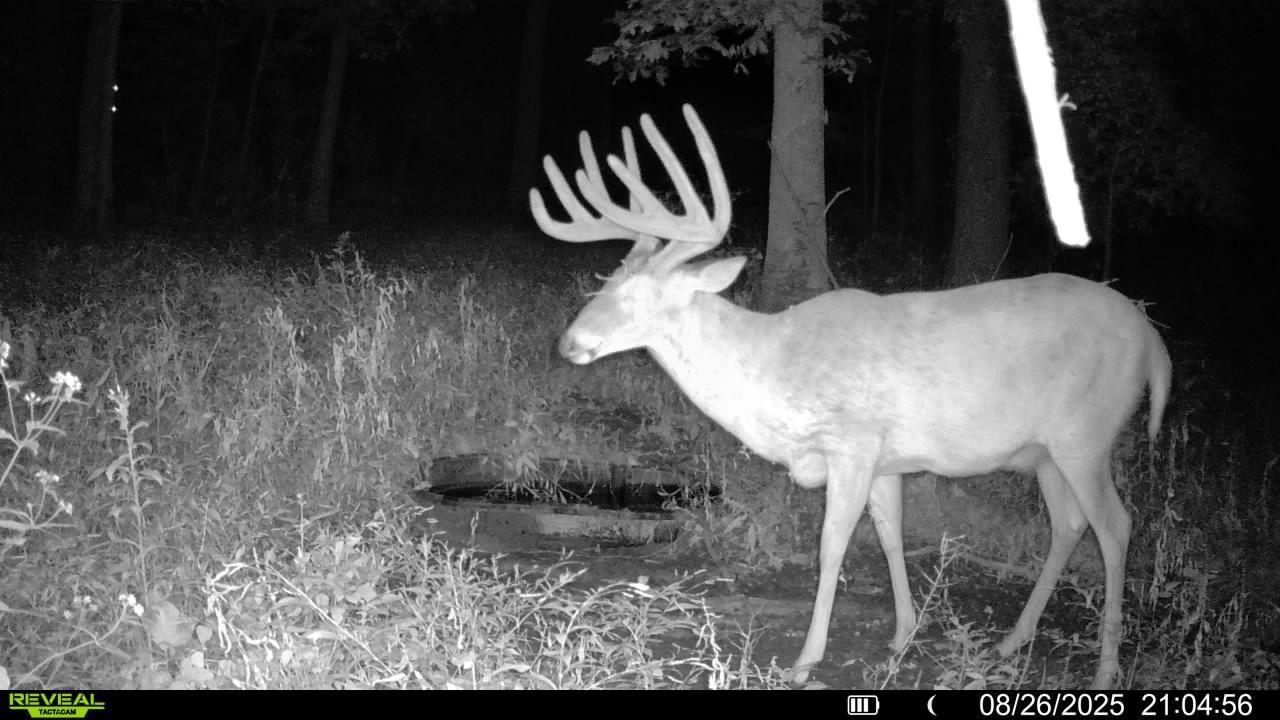 Tbd Reck Lane Whitehall, WI 54773 - Photo 16 of 77