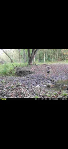 $715,000 | Tbd Reck Lane, Whitehall, WI 54773