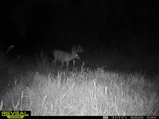 $715,000 | Tbd Reck Lane, Whitehall, WI 54773