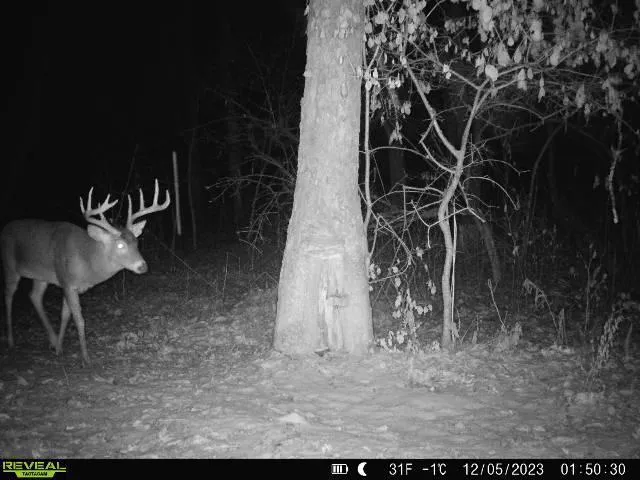 $715,000 | Tbd Reck Lane, Whitehall, WI 54773