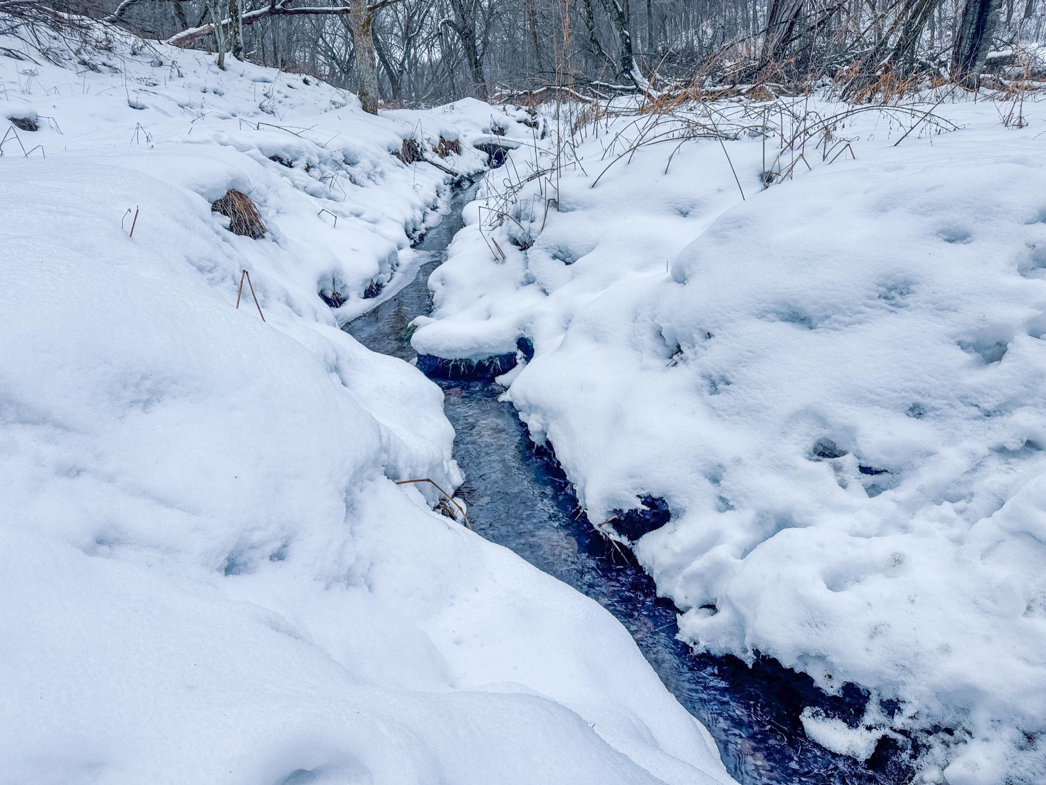 Tbd Reck Lane Whitehall, WI 54773 - Photo 2 of 77