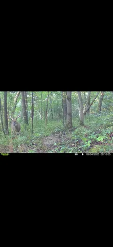 $715,000 | Tbd Reck Lane, Whitehall, WI 54773