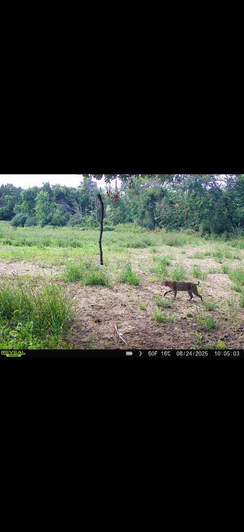 Tbd Reck Lane Whitehall, WI 54773 - Photo 24 of 77