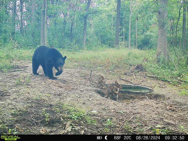 Tbd Reck Lane Whitehall, WI 54773 - Photo 25 of 77