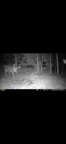 $715,000 | Tbd Reck Lane, Whitehall, WI 54773