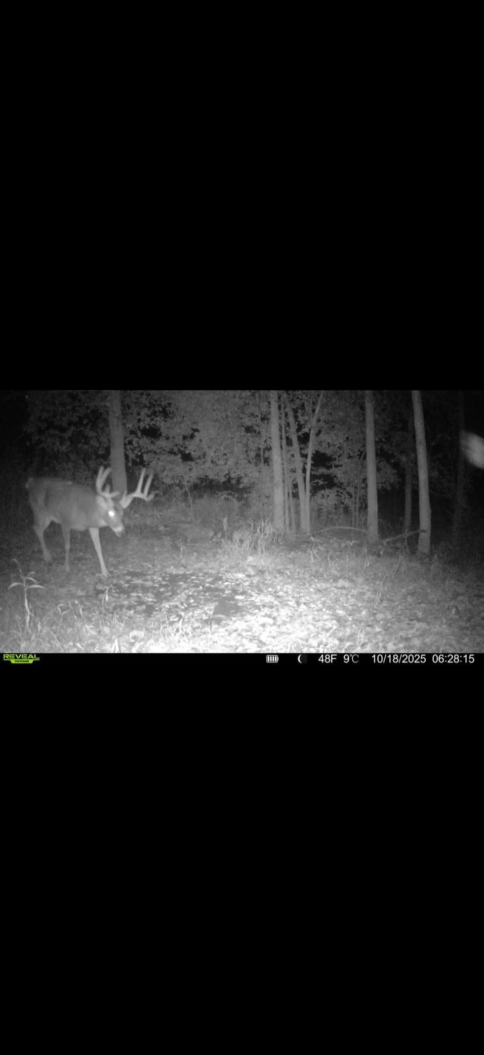 Tbd Reck Lane Whitehall, WI 54773 - Photo 26 of 77