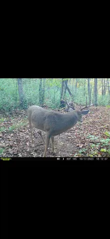 $715,000 | Tbd Reck Lane, Whitehall, WI 54773