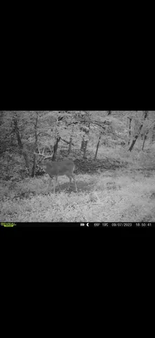 $715,000 | Tbd Reck Lane, Whitehall, WI 54773