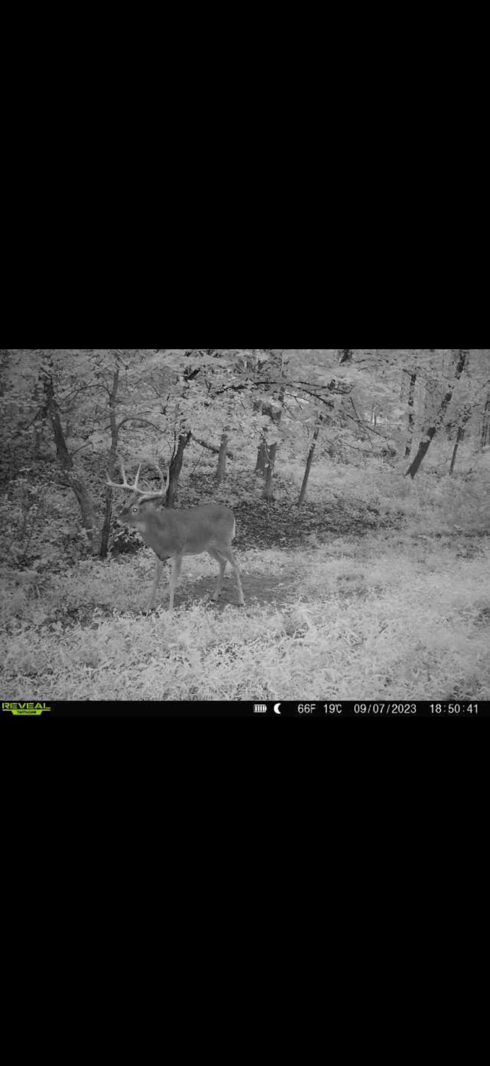 Tbd Reck Lane Whitehall, WI 54773 - Photo 28 of 77