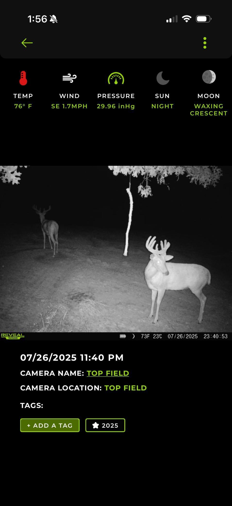 Tbd Reck Lane Whitehall, WI 54773 - Photo 29 of 77