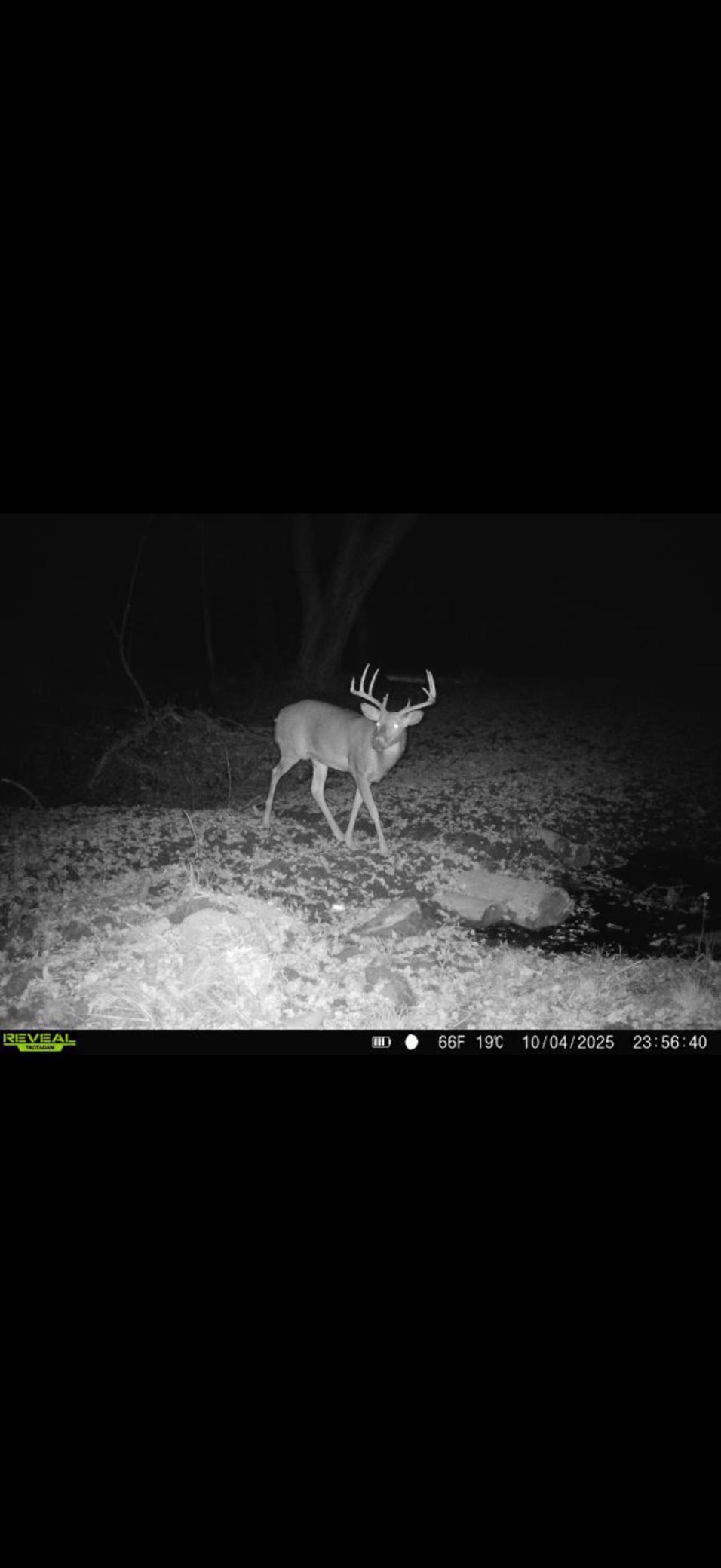 Tbd Reck Lane Whitehall, WI 54773 - Photo 32 of 77