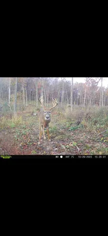 $715,000 | Tbd Reck Lane, Whitehall, WI 54773