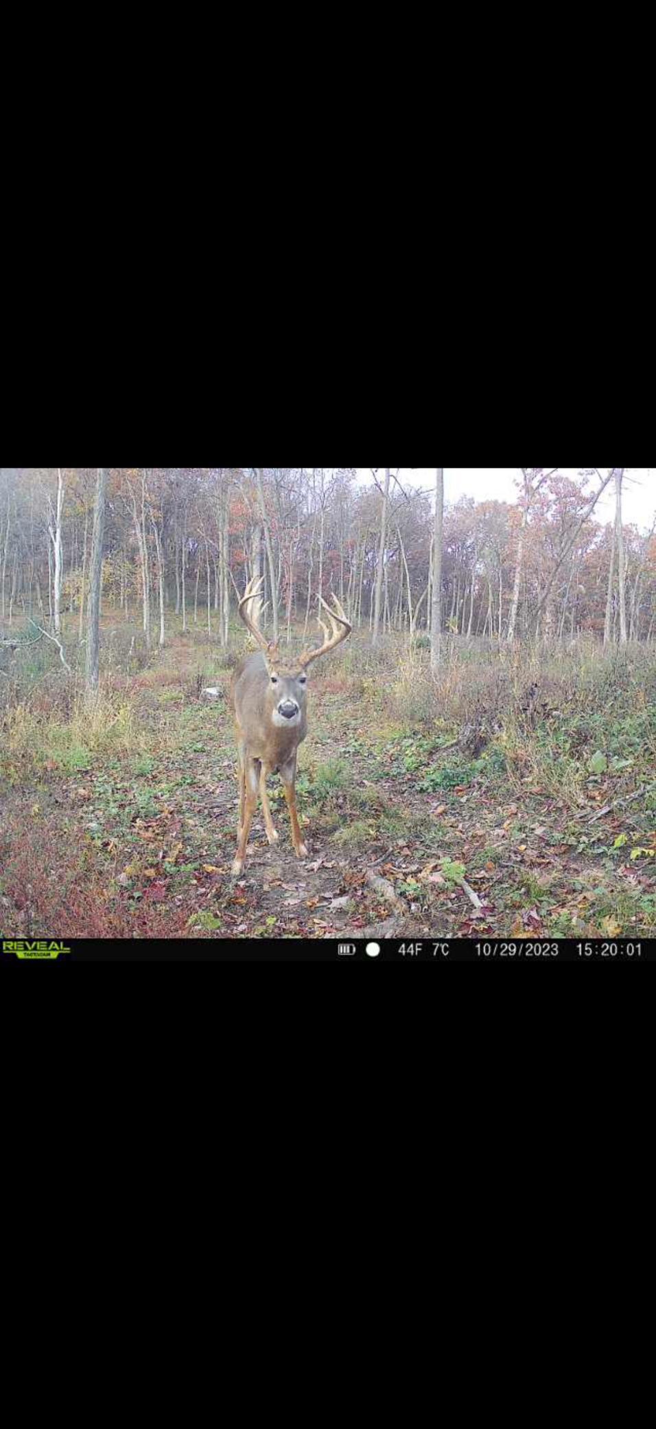 Tbd Reck Lane Whitehall, WI 54773 - Photo 33 of 77