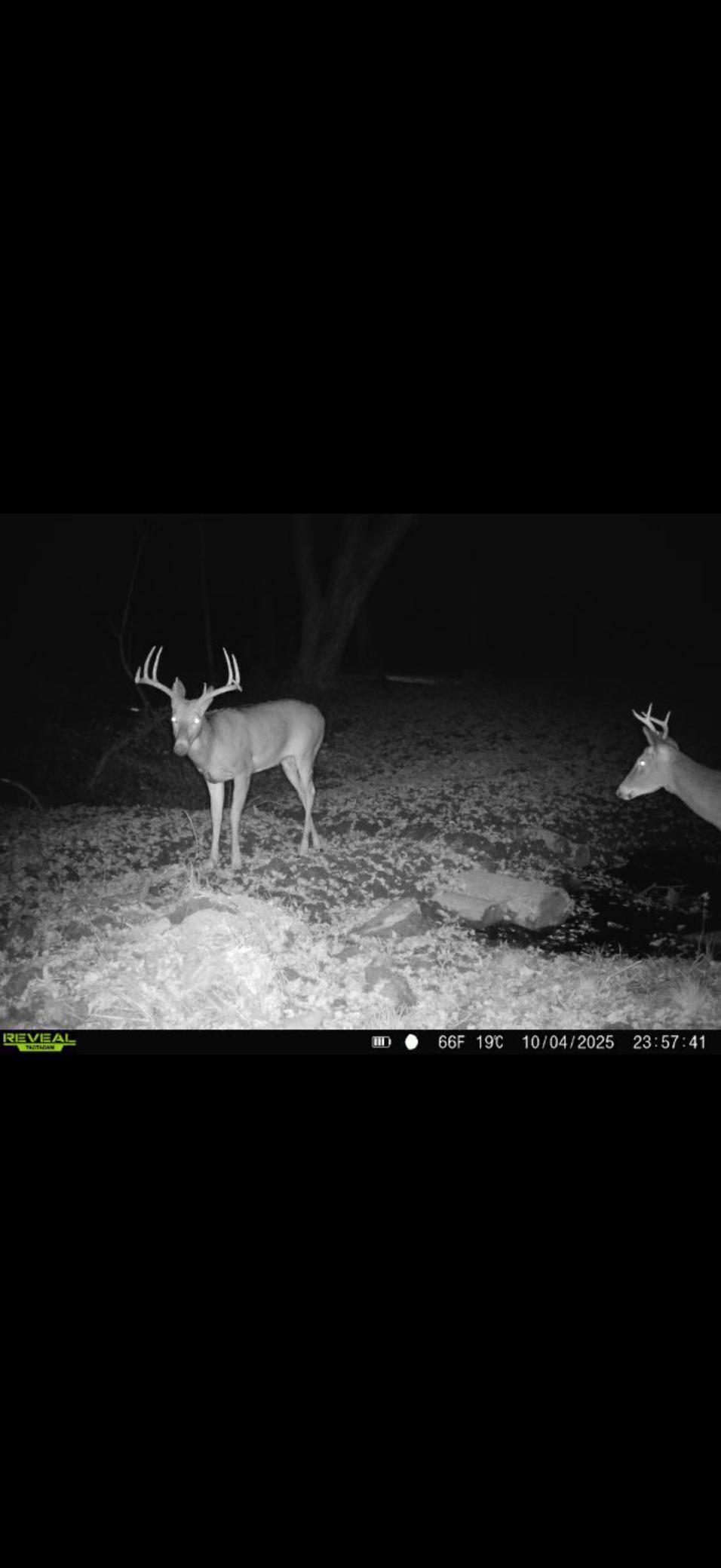 Tbd Reck Lane Whitehall, WI 54773 - Photo 34 of 77