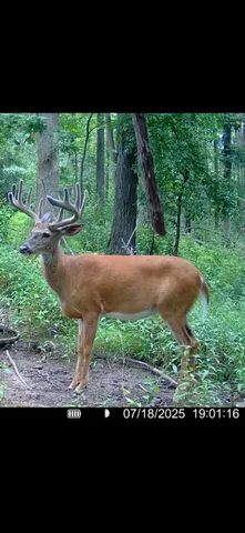 $715,000 | Tbd Reck Lane, Whitehall, WI 54773