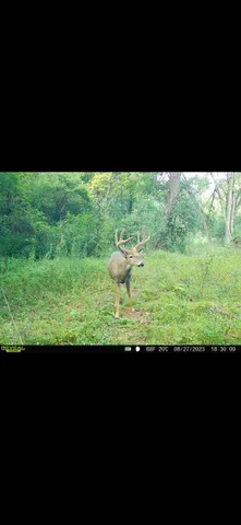 $715,000 | Tbd Reck Lane, Whitehall, WI 54773