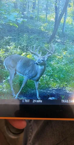 $715,000 | Tbd Reck Lane, Whitehall, WI 54773