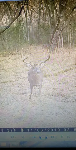 $715,000 | Tbd Reck Lane, Whitehall, WI 54773