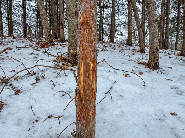 $715,000 | Tbd Reck Lane, Whitehall, WI 54773